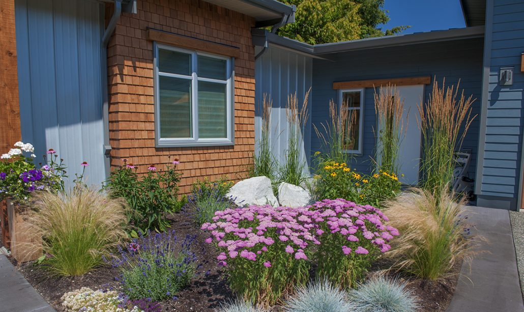 180715_HAP_7425-1030x686